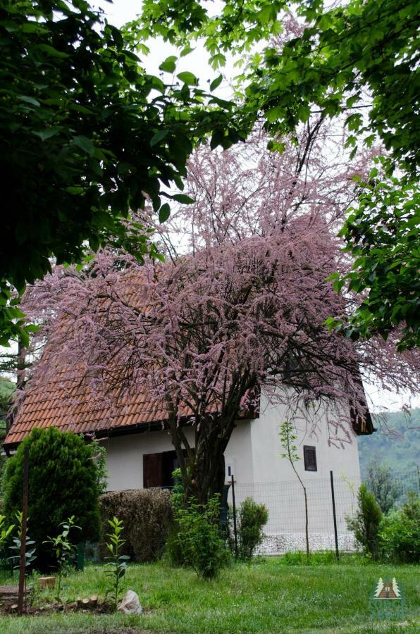 Lodge Zbilje Visoko, Bosnian Pyramids 外观 照片