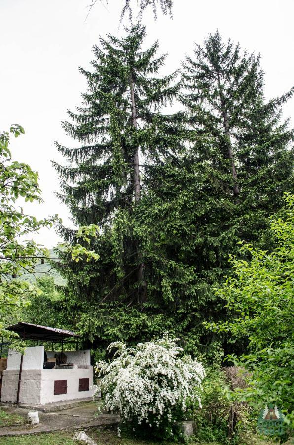 Lodge Zbilje Visoko, Bosnian Pyramids 外观 照片